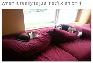 netflix and chill really